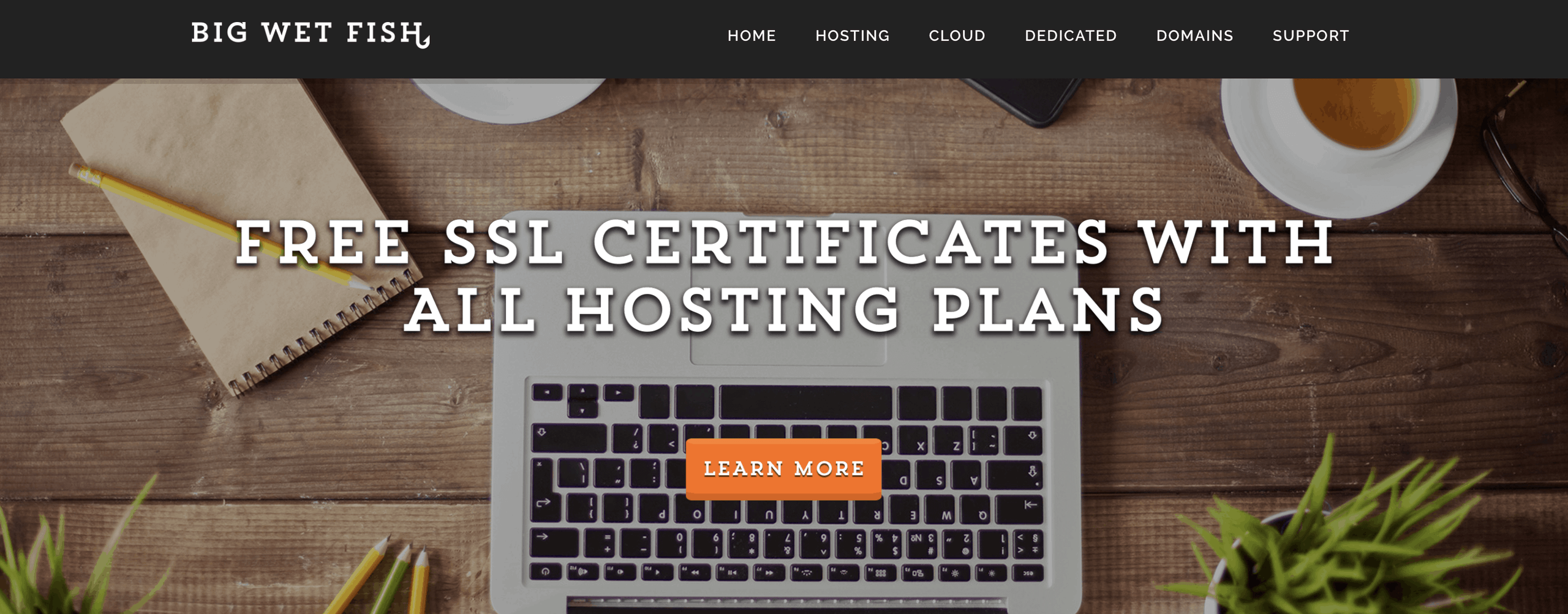 Website hosting by BigWetFish